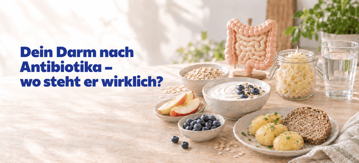 Darmflora aufbauen nach Antibiotika: So unterstützt du deinen Darm beim Neustart - BIOMES